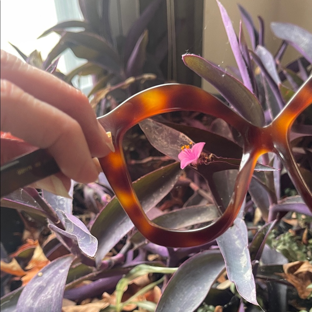 Gucci Women's Brown Oversized Cat Eye Havana Sunglasses - Picture 13 of 16